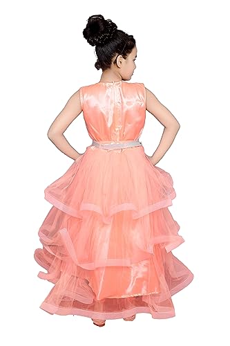 Image of Girl's Net Frill Ball Design Gown Dress