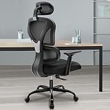 FelixKing Ergonomic Office Chair, Ergo 3D Computer Chair Breathable Mesh Desk Chair with Lumbar Supp