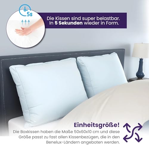 Slaapspeciaal Kopfkissen 60x50cm - Kissen aus Baumwolle-Bezug [2er Set], Ergonomisches Schlafkissen mittlere Festigkeit [Stützt Kopf und Nacken] - Aktive Luftzirkulation