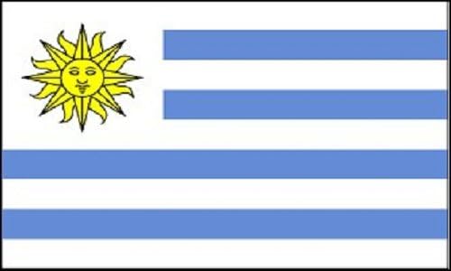 Miniatura 2 de Bandera de Uruguay 3x5 Bandera de País Bandera Sudamericana Banderín Bandera Interior Exterior