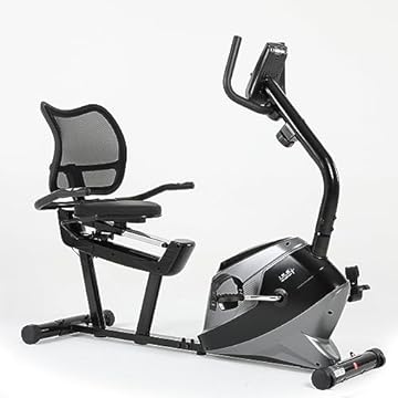 ISE Cyclette Magnetica Professionale - Resistenza Regolabile 8 Livelli, Display Touchscreen, Programmi Allenamento Personalizzati, Struttura Solida 100kg, per Home Gym