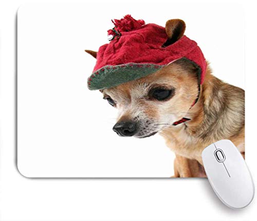 Preisvergleich Produktbild Dekoratives Gaming-Mauspad,Kostüm Niedliche Chihuahua Wintermütze Tiere Wildlife Head Tiny Canine,Bürocomputer-Mausmatte mit rutschfester Gummibasis