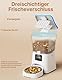 Futterautomat Katze,3L Katzenfutter Automat mit Programmierbarem Timer 1-6 Mahlzeiten pro Tag-Futterspender Hund mit Pressedeckel und 10s Aufnahmefunktion