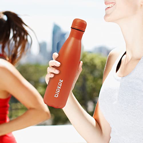 Image of BJPKPK 17 oz Insulated Water Bottle, Stainless Steel Flask, Leak Proof