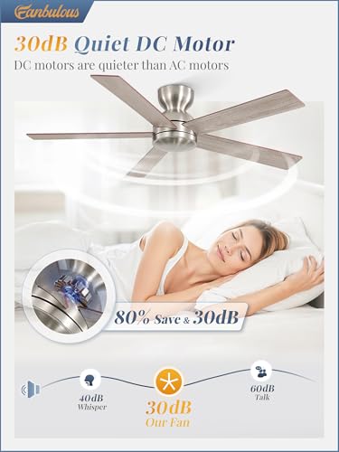 Image of Fanbulous 48 Inch Low Profile Ceiling Fan no Lights, Modern, Brushed Nickel