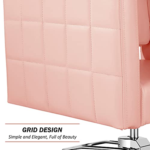 Paddie Hydraulic Salon Chair For Hair Stylist, 360 Degrees Rolling Swivel Barber Chairs All Purpose Beauty Spa Equipment, Max Load Weight 330 Lbs (Pink) #TOP3