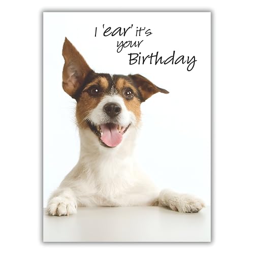 Noel Tatt Open Happy Birthday Funny Photographic Greeting Card - I Ear Its Your Birthday - Jack Russell Terrier - From The Picture This Range