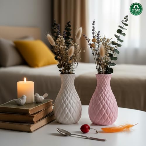 Image of TrustBasket Serenity Decorative Plastic Flower Vase Set White & Pink, Modern Table Top Accent for Living Room Bedroom Dining Office, Minimalist Home Decor, Durable Lightweight, Set of 2
