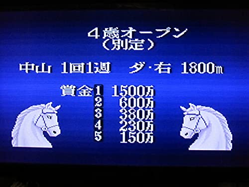 サラブレッドブリーダーの関連画像7