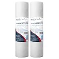 American Made, 5 Micron 20 x 4.5 Whole House Sediment Filter Cartridge 20 inch Water Filter Replacement Compatible with DGD-5005-20, FP25B, AP810-2, 2-Pack