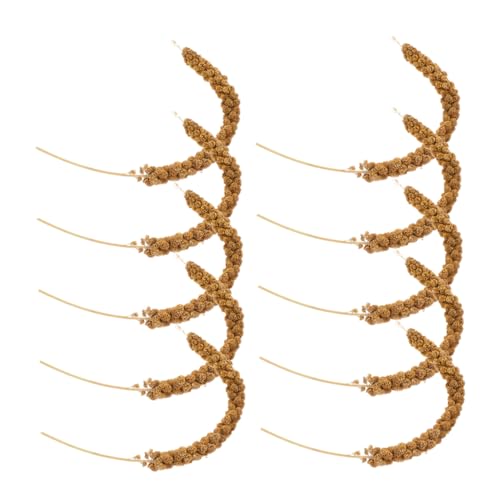 Levemolo 1 Juego De Comida para Loros, Cacatúas, Loros, Comida Natural para Loros, Comida Natural para Pájaros, Suministros De Comida para Pájaros, Comida En Grano para Pájaros, Golosinas