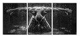 Pixxprint Bodybuilder in Pioggia, XXL Tela su Tela Fuori Misura 180x80m Totale 3 Pezzi/Stampa murale/Artistica