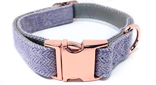 InstaPetTags Rose Gold Collars and Leashes | Lavender Nylon Collars and Leashes w/Rose Gold Buckles (Large Collar)