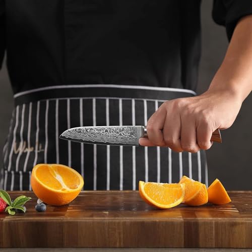 Wakoli EDIB Pro Damascus Small Santoku Knife I Blade Length of 4.5" (11.5 cm) Made from 67 Layers of Genuine Damascus Steel with VG10 Core I Damascus Kitchen Knife and Professional Chef's Knife - Image 4