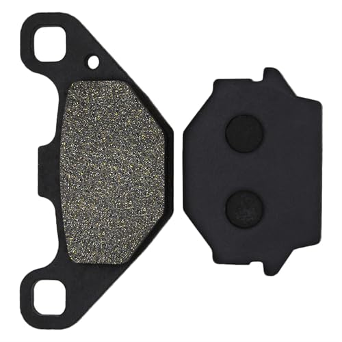 Plaquettes de frein arrière Polaris Phoenix 200 pièces de rechange dents de scie 2005-2010