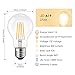LVWIT A19 LED Vintage LED Filament Bulb E26 Base Dimmable 7W (60W Equivalent)，2700K Warm White 800 Lumens，Omnidirectional, UL-Listed, Pack of 6
