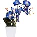 Lighted Artificial Orchid Flower Plant with Timer - Battery Operated with 9 Lights (Blue)