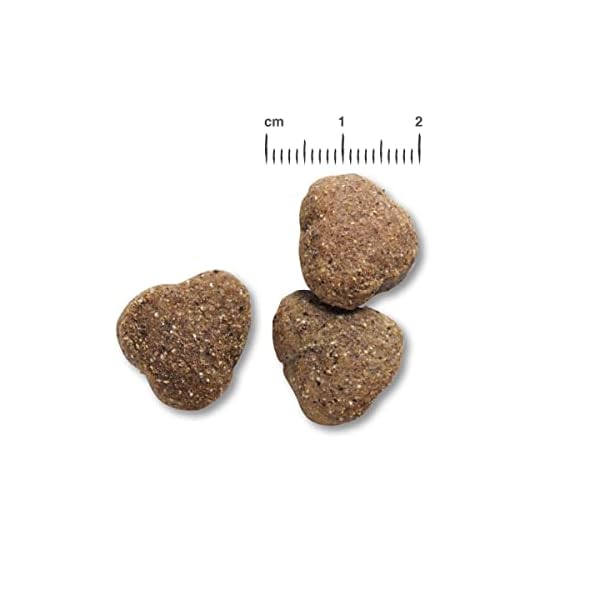 BELCANDO Hundefutter Adult GF Poultry 2X 12,5kg, Getreidefreies Trockenfutter für Hunde mit Futterunverträglichkeiten gegen Gluten – Bild 3