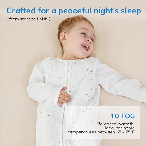 Image of TotAha Toddler Sleep Sack, 1.0 TOG, 2T-3T-4T, Grey Star