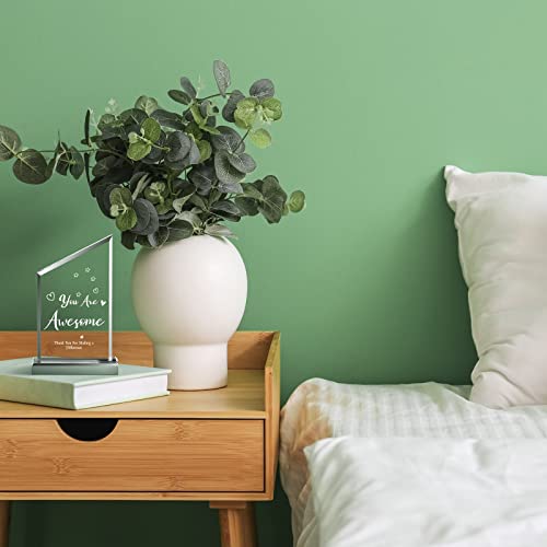 Yinder 12 Pcs Appreciation Awards For Coworker Acrylic Plaque Thank You Gift For Employee Colleague Leaving Job Gifts Farewell Appreciation Gifts For Women Men Friends Nurse Teacher Keepsake (Heart) #TOP6