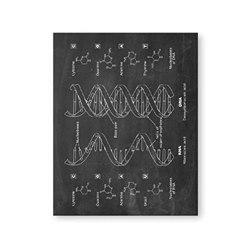 LJYLKR ADN Brevet Mur Art Génétique Affiche Impression Toile Peinture Biologie Vintage Plan Médical Science Décor-40x60cm sans Cadre Cover