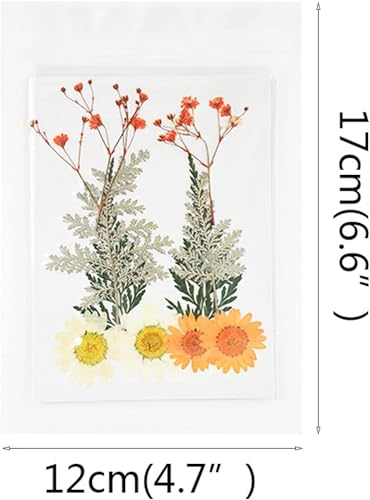 Flores Secas Pequeñas para Decoración Manualidades miniatura 2