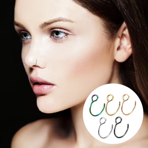 Nose Rings Hoops Double Hoop Nose Ring, 10 Pcs Fake Noses Ring Lip Rings Stainless Steel Fake Lip Piercing Clip On Ear Cuffs Non Piercing Jewelry for Women Men, 8mm4