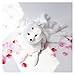 XINGYAO Plüschtiere Super Nette weiche weiße rote neun schwänze Fuchs plüschtier gefüllte Tiere neunanhänger fuchspuppen kreative Geschenke für mädchen (Color : White, Height : 32cm x 63cm)