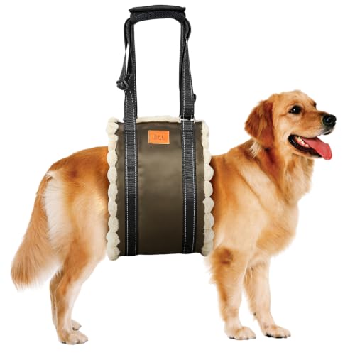 Image of Adjustable Dog Sling for Extra Large Dogs Mobility Aid for Weak Rear Legs