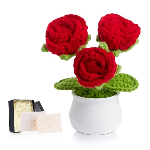 LAIDANLA Crochet Red Rose Mini