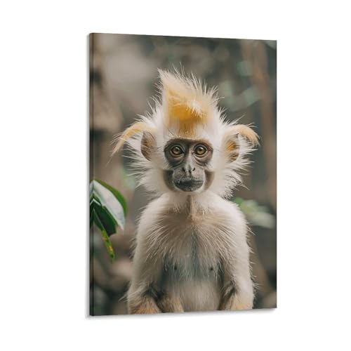 Toile Singe aux Cheveux Or 50x75cm - Solution D&eacute;co pour R&eacute;nover un Mur Blanc Vide