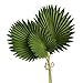 SLDHFE Artificial Palm Leaf, 18in Artificial Tropical Palm Leaves Palm Stems Palm Leaf Decor for Vase Filler Table Decoration Wedding