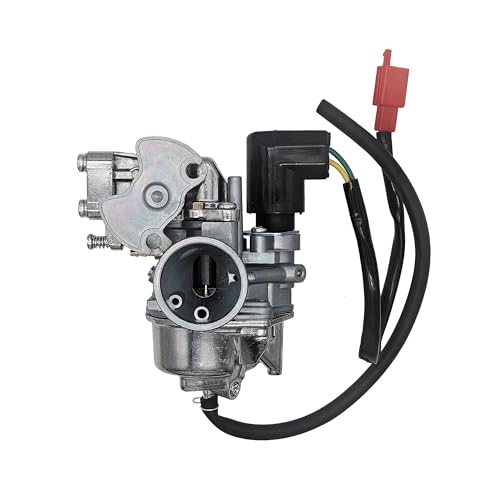 19mm Carburetor for Yamaha Zuma 50