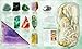 Treasures of the Earth: Rocks, Minerals, Crystals, and Gems
