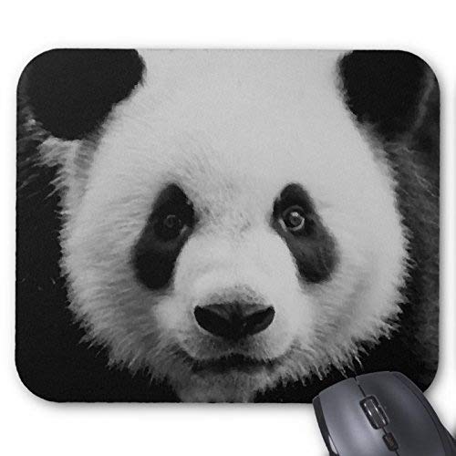 p_}EXpbhAp_}EXpbh}EX}bgItBX}EXpbh