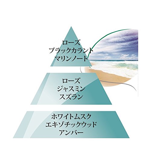 Parfum Berger - Stella per profumare l'automobile