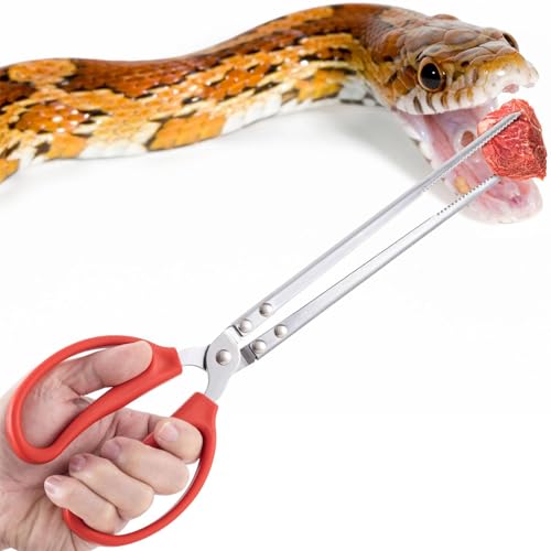 m[uhi wrtB[_[ X`[঒ދagOAwrANZT[A^sZbg