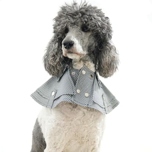 p^LV[h݃o_iAlN^CtA߉\ȃtH[}hbO^LV[h^LV[hAAaANX}XRX`[^Lp(zCg&ubNXJ[tASTCY)