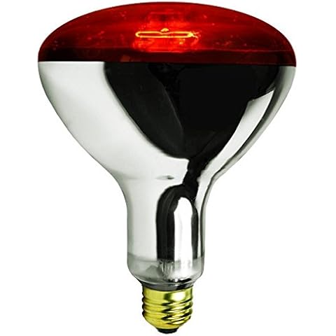 Rite Farm Products 250 WATT RED BROODER Heat LAMP Bulb Chicken COOP Hen House Baby Chick 250w Cover
