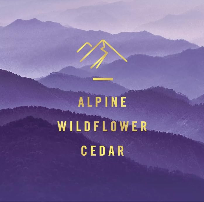 Generic Febreze Fade Defy Plug Air Freshener & Odor Fighter - Mountain - 0.87 fl oz/2pk, Purple