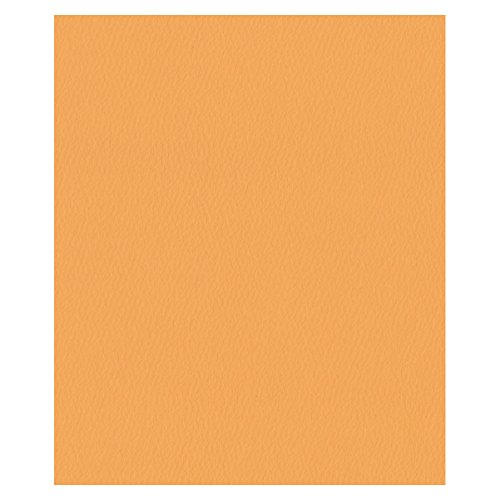 エスケント 色画用紙 スターウェーブ 四切 バレンシア 50枚 5504802