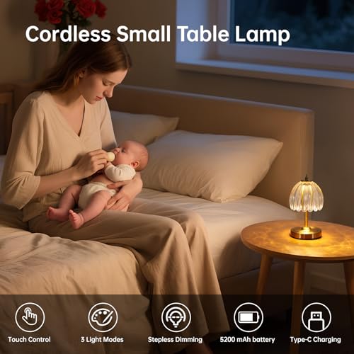 Image of Shenmoyl Tulip Small Table Lamp, 5200mAh Cordless Touch Control Mini Table Lamp with 3 Color Temps & Stepless Dimming, Perfect for Small Spaces like Dressers, Bedsides, Bookshelves (Transparent Tulip)