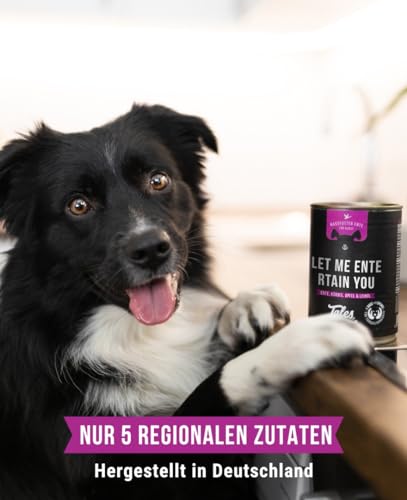 Tales & Tails Let me Entertain You Nassfutter für Hunde | Mit 75% Ente als tierische Proteinquelle | Monoprotein | Hohe Akzeptanz & Verträglichkeit | 6X 400g