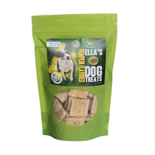 DogaBetix Ella's Diabetic Dog Treats Pumpkin (8oz) - Low Glycemic Ingredients - Vet Approved - Made in USA by Owners of Diabetic Dogs - Developed to Help Keep Glucose Levels Stable