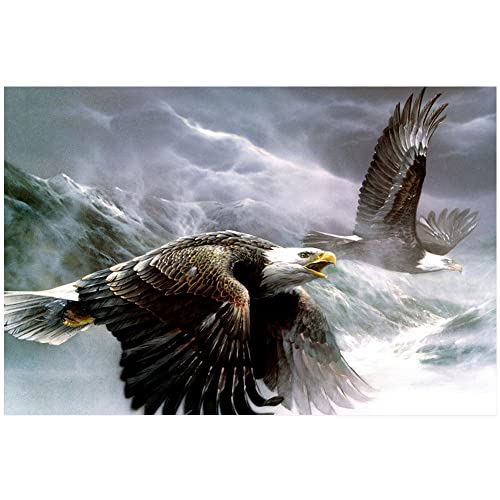 Wildlife Print Leinwand-Wandkunst, Motiv: fliegender Adler, ungerahmt, moderne abstrakte Leinwand, Ölgemälde, Wandkunstdrucke für Wohnzimmer, Schlafzimmer, Heimdekoration, Bilder 20,3 x 30,5 cm Cover
