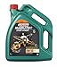 Castrol MAGNATEC STOP-START 0W-30 D Motorenöl 5 Liter