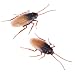 Robo Alive - Robotic Toy Series 1 - 2 Pack - Cockroach