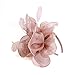 Produktbild Fascinator Hut Feder Mesh Netz Schleier Party Hut Ascot Hüte Blume Derby Hut mit Clip und Stirnband für Frauen (G1-ROSA)