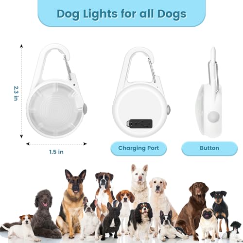 Hund Lichter für Nacht Spaziergang, 2er-Pack wiederaufladbare Clip auf Hund Kragen Licht blinkendes Licht wasserdicht für Nacht und Kinder Schultasche Reflektor, Sicherheitslicht für Kinder und Hund