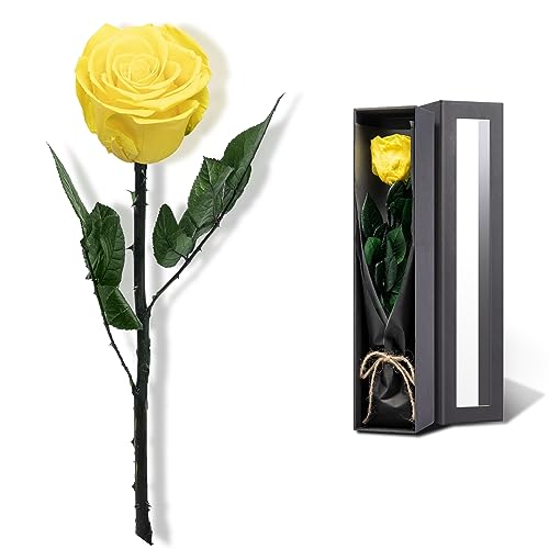 Image of Yellow Flowers for Delivery Prime, Preserved Yellow Roses Flower Gifts for Women, Real Roses Single Rose Gifts for Her, Mom Birthday Gifts from Daughter,, Valentines Flowers